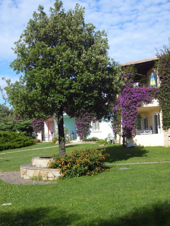 Residence Stella Di Gallura Porto Rotondo Dış mekan fotoğraf
